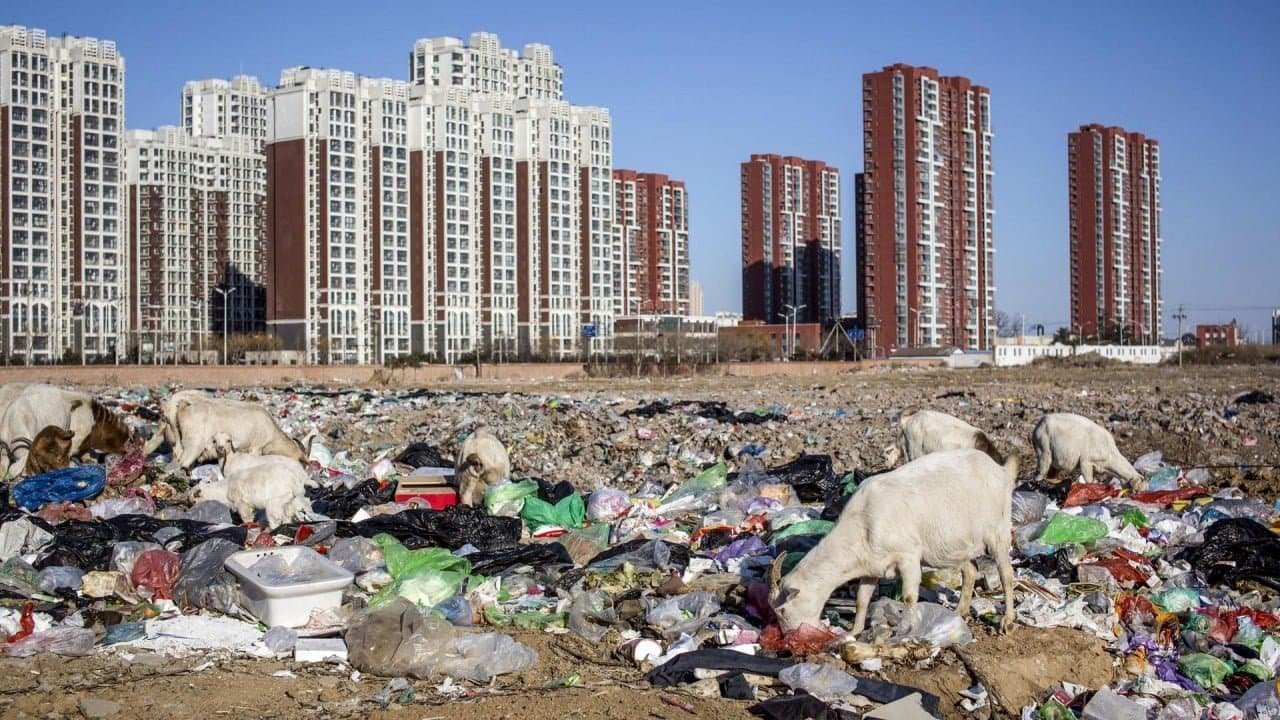 The One Unit You Should Probably Avoid (Unless It’s Dirt Cheap)
